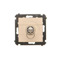 Spínač jednopólový na klíč, 2 polohový, řazení 0-1, 5 A / 250 V~ champagne matná