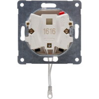 HK07 - Pull switch with cover, nominal v