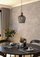 Závěsné svítidlo EMPOLI E27 černá/mosaz 1X40W IP20 EGLO 901036