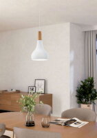 Závěsné svítidlo SABINAR 1X40W EGLO 901177