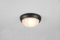 TOROLO  1x E27 max.40W,bulb exc.
