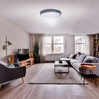 LED osvětlení s dálkovým ovladačem Grey,