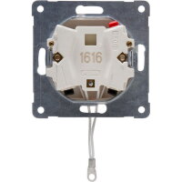 295813008 HK07 - Pull switch with cover,