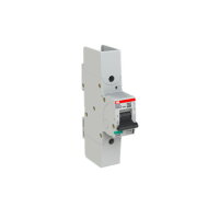 S801P-B100-R; 1 fázový jistič; jmenovitý