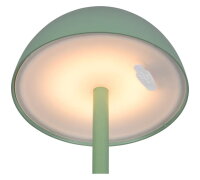 RICARDO incl.1x1,5W LED/240Lm/3000K
