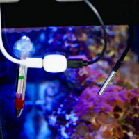 Teplotní senzor SHELLY 5-TERMINAL ADD-ON pro SHELLY PILL, 3,5 mm jack, 1 m