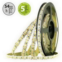LED pásek SMD3528FM 180LED/m 14,4W/m 1562lm/m IP20 DC24V 10mm 50m (maso)