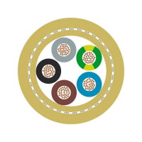 Připojovací kabel ÖLFLEX 540 CP 2X1 LAPP 0012757