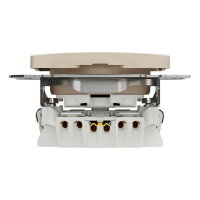 Zásuvka bezšroubová, Bříza,Sedna Design/Elements SCHNEIDER SDD180012U