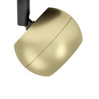 LED-CCT-SPOT GOLD MENGIBAR