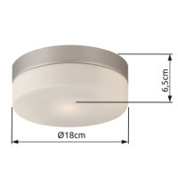 Stropní svítidlo OPAL nikl 1xE27, max. ILLU 60W 230V GLOBO 48401