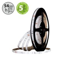 LED pásek SMD2835 červený, 60LED/m, 4,8W/m, DC 24V, 120lm/m, IP54, 8mm, 5m