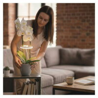 LED GROW pěstební lampa 8 W, časovač, stmívatelná, bílá EMOS Z7902