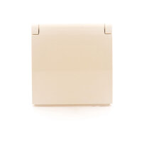 DGZ1BUZP/41 Kryt jednoduché zásuvky s uz