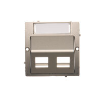 Kryt zásuvky komunikační (pro prvky Keystone), šikmé dvojité, Satén BMGKS2P/29