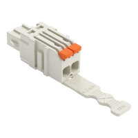 1vodičová pružinová svorkovnice, Páčka, Push-in CAGE CLAMP, Světle šedá