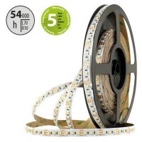 LED pásek SMD3527 dual white WW-CW 120LED/m 19,2W/m 1605lm/m IP20 DC 12V 10mm 5m