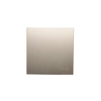 kryt jednoduchý s piktogramem klíče pro spínače a tlačítka, zlatá matná