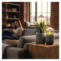 LED GROW pěstební lampa 5 W, časovač, bílá EMOS Z7901