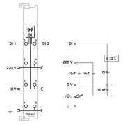 2kanálový binární vstup DC 220V světle šedá WAGO 750-407