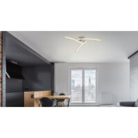 Stropní svítidlo JULES chrom LED18W 230V 1100lm 3000-4000-6000K GLOBO 67169-18IP