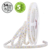 LED pásek SMD5050 CW, 60LED/m, 14,4W/m, 1180lm/m, IP68, DC 12V, 13mm, 5m