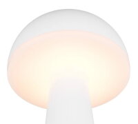 FUNGO incl.1x2W LED/200Lm/3000+4000+5000