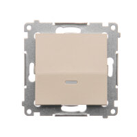 DP1L.01/41 Ovládač zapínací, s orientačn