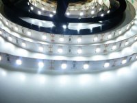 24V-300-12W-CW pásek studená bílá T-LED 07913