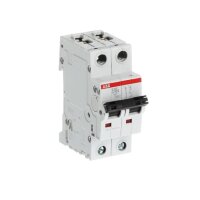 S202-C100 2F jistič 100A char. C 6kA ABB 2CDS252001R0824