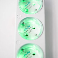 Chytrá zásuvková lišta SHELLY POWER STRIP 4 GEN4 WH, WiFi,BT,Zigbee,Matter,bílá
