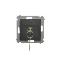 DW1K.01/49 Jednopólový spínač na klíč -