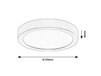 Stropní svítidlo SHAUN PLUS LED 24W 4000K RABALUX 75078