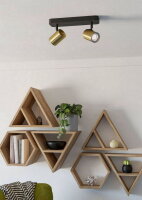 Stropní bodové svítidlo CONSUMA 1 GU10 10W IP44 černá/matná mosaz EGLO 300584