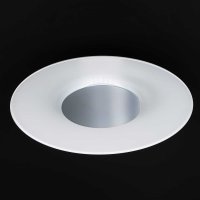 Stropní svítidlo Rondo LED 19W bílá