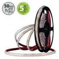 LED pásek SMD2835 CW, 240LED/m, 6W/m, DC 24V, 520lm/m, CRI90, IP67, 10mm, 50m