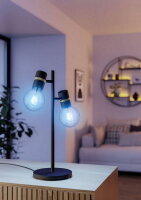 Světelný zdroj LM-ZIG-RGBW-E27-G95 7,5W KLAR EGLO 110407