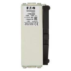 Ultra rychlá pojistka Eaton 170E3580 750V DC, 125A