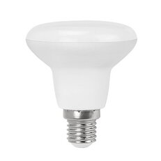 LQ-X R50 E14 5W/840 470lm (F class) 230-240VAC NBB, NBB 248100145
