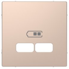 Centrální deska Merten D-Life pro 2xUSB kov Brushed Gold SCHNEIDER MTN4367-6051