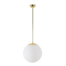 LED-5L06E300Z11/PM2AM/L20 MS 4K#