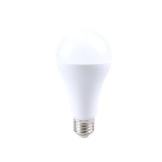 SMD LED, E27 A65, 22W, 2450lm, 4000K