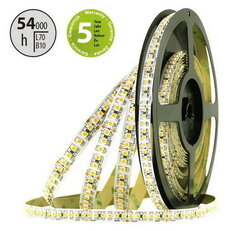 LED pásek SMD3528FM 180LED/m 14,4W/m 1562lm/m IP20 DC24V 10mm 5m (maso)