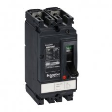LV438600 NSX100F 100A 2P 36kA AC/DC