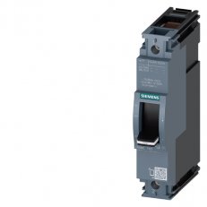 Jistič 160A 55kA/240V, Ir 160A,Ii 10x In, 1pól, třmenové svorky