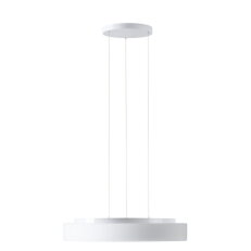 Závěsné LED svítidlo se skleněným stínidlem ELSA LE16 35W IP40 DALI 4K bílá