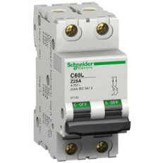 Schneider 26165 C60L jistič 2P 25A Z