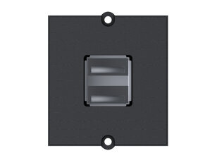 Bachman 917.141 Custom Module 2-way USB