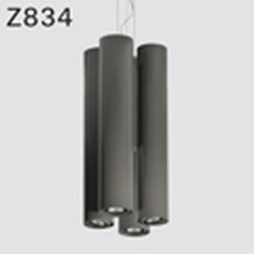 Závěsné svítidlo DEOS Z834cBII.408/S3 LED COIN111 2700K, 15/24