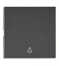 Kryt spínačů a ovladačů, symbol světlo, antracit SCHRACK EV112205--